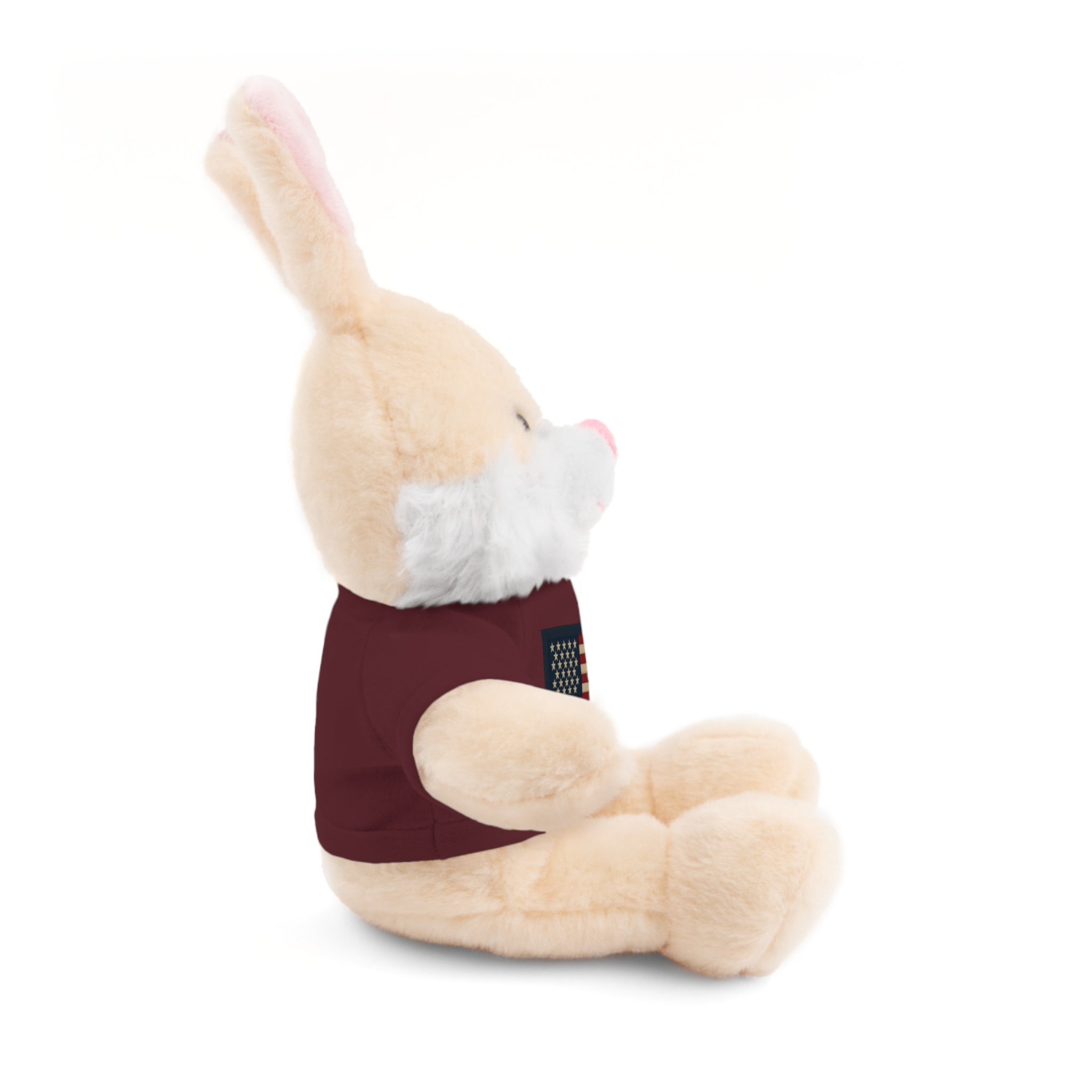 American Flag Teddy Bear with Tee — Patriotic Plush Gift