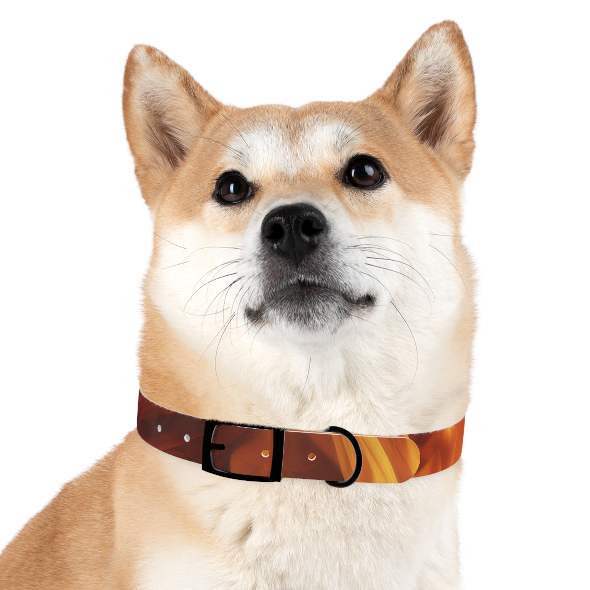 Amber Swirl Dog Collar — Warm Brown Abstract Pattern