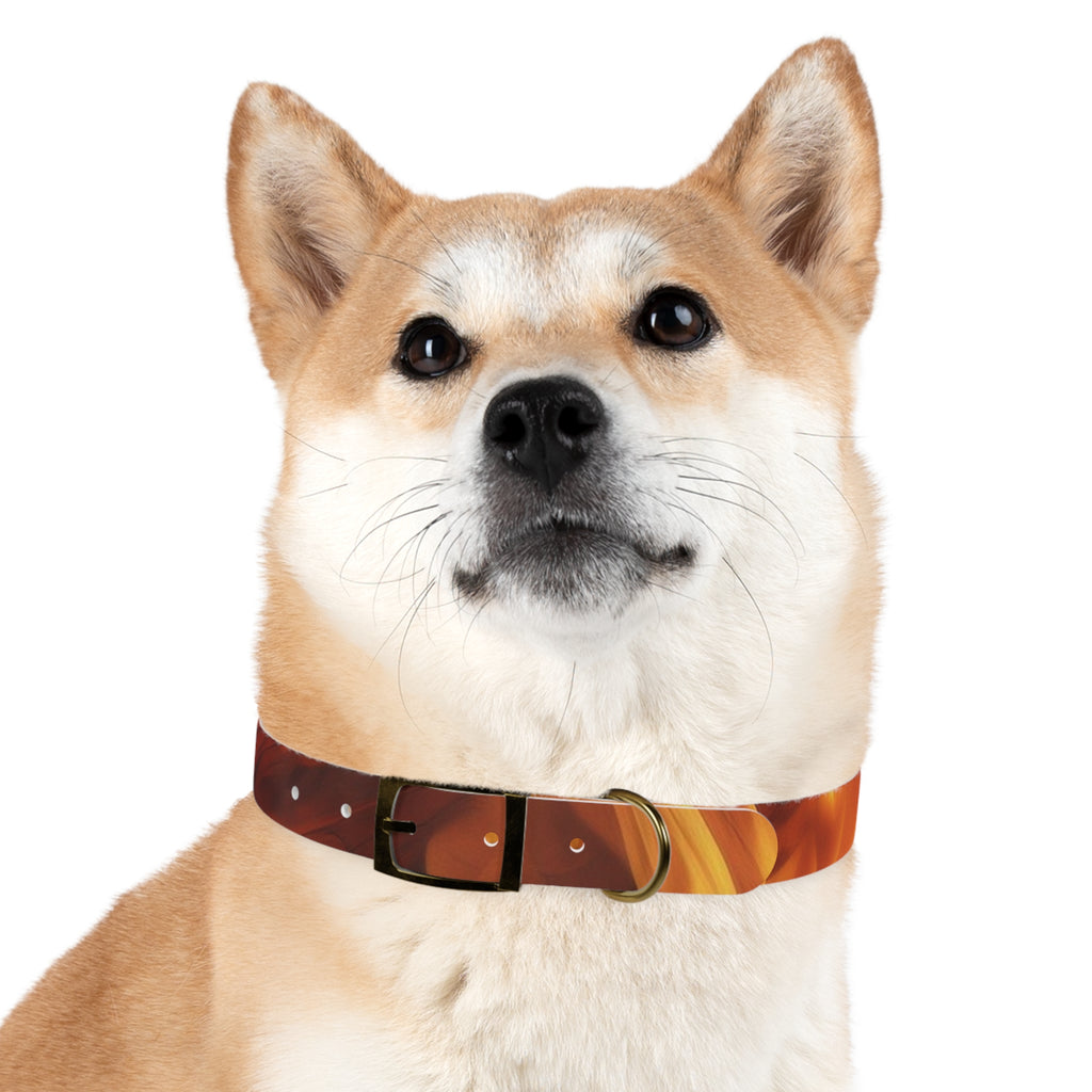 Amber Swirl Dog Collar — Warm Brown Abstract Pattern