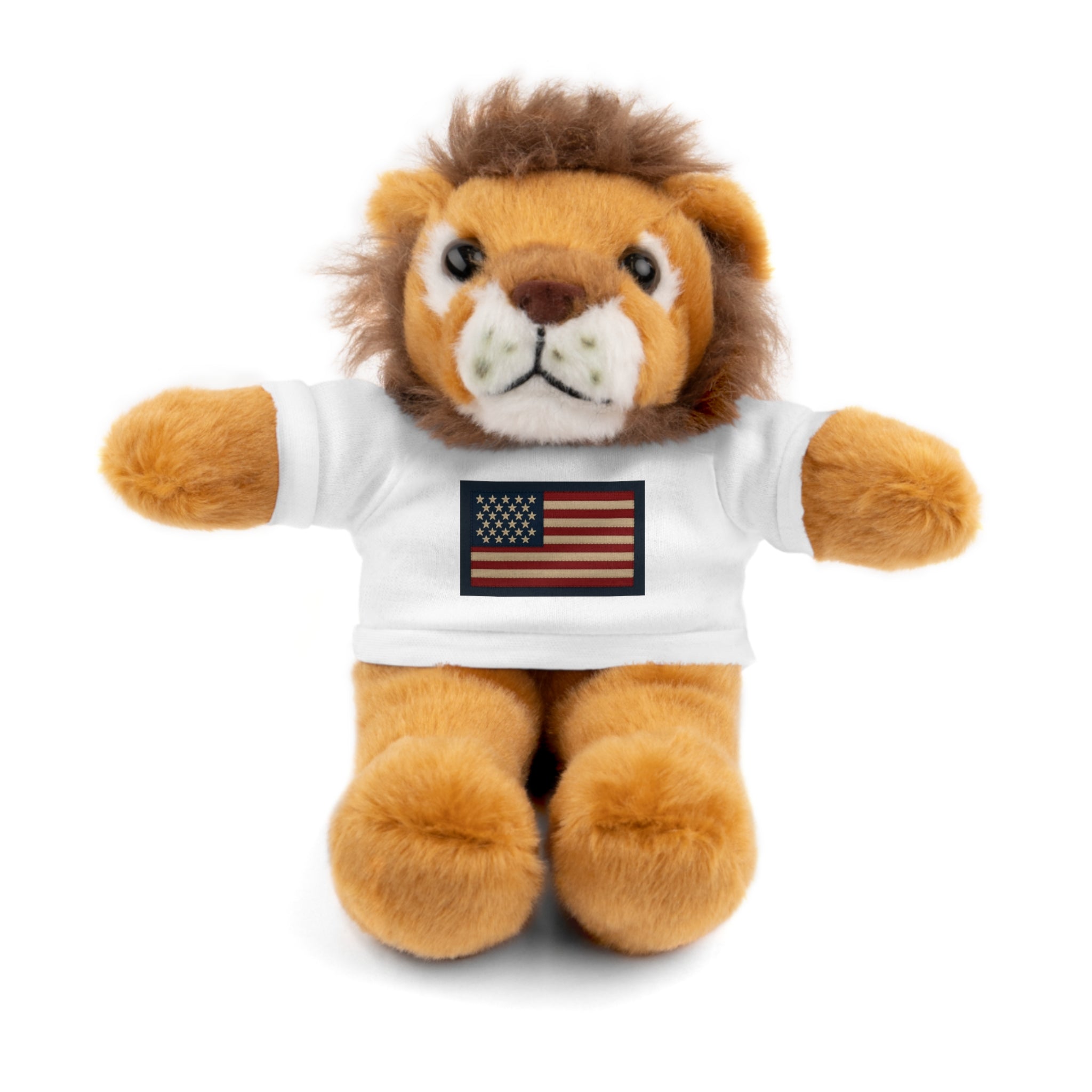 American Flag Teddy Bear with Tee — Patriotic Plush Gift