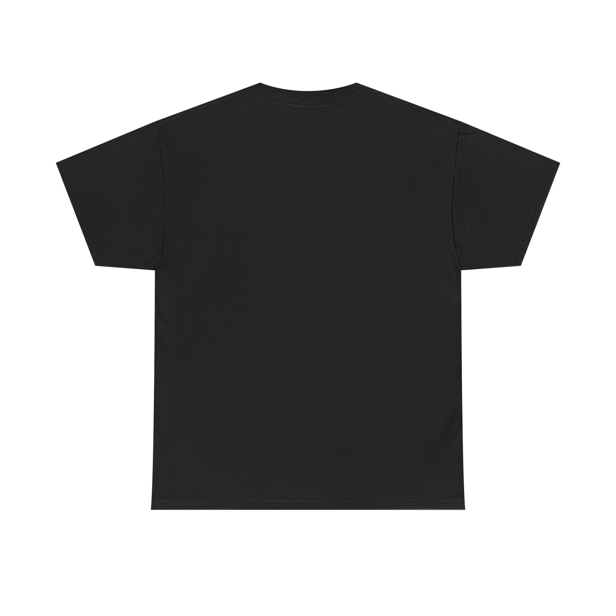 Patriotic Raccoon 'America' T-Shirt