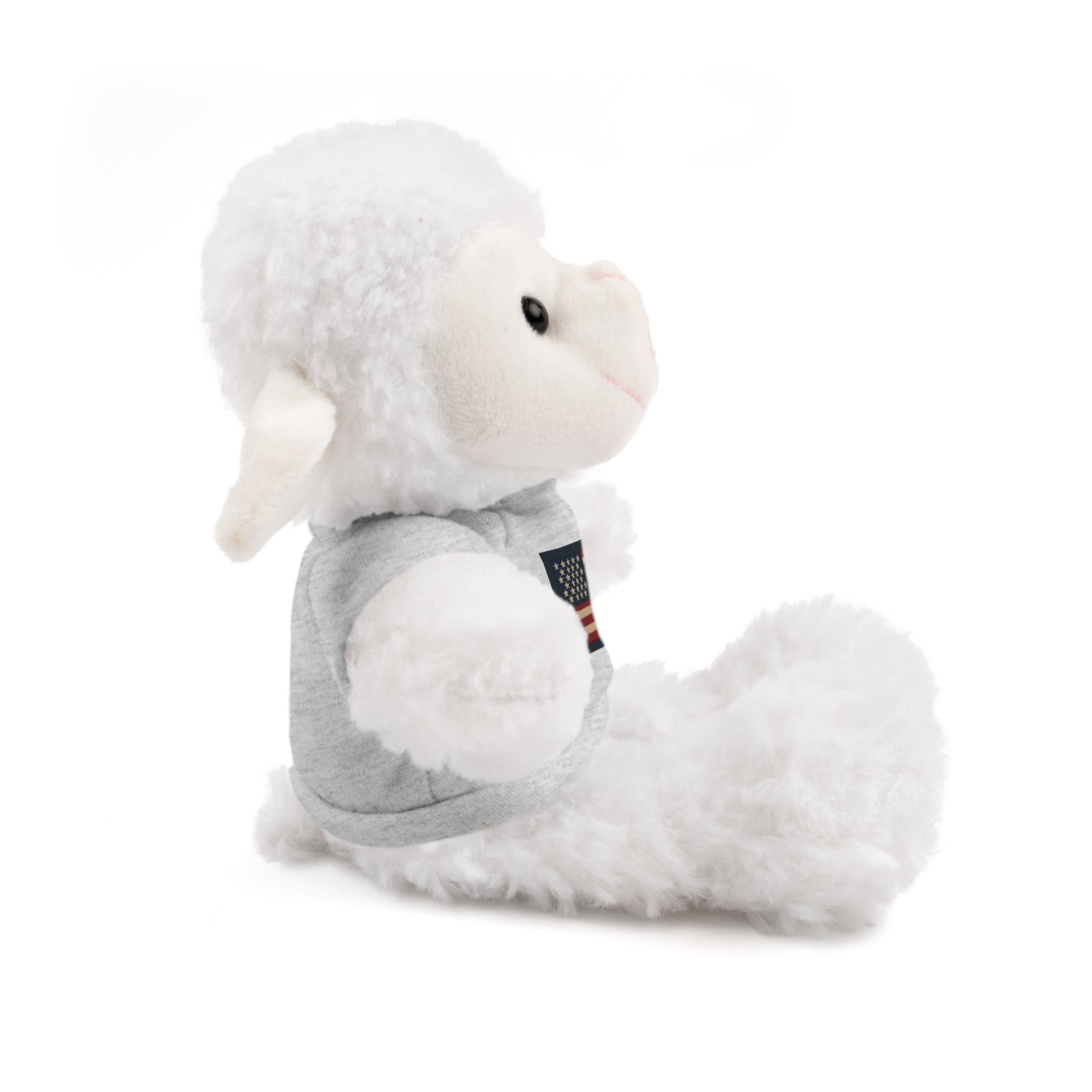 American Flag Teddy Bear with Tee — Patriotic Plush Gift