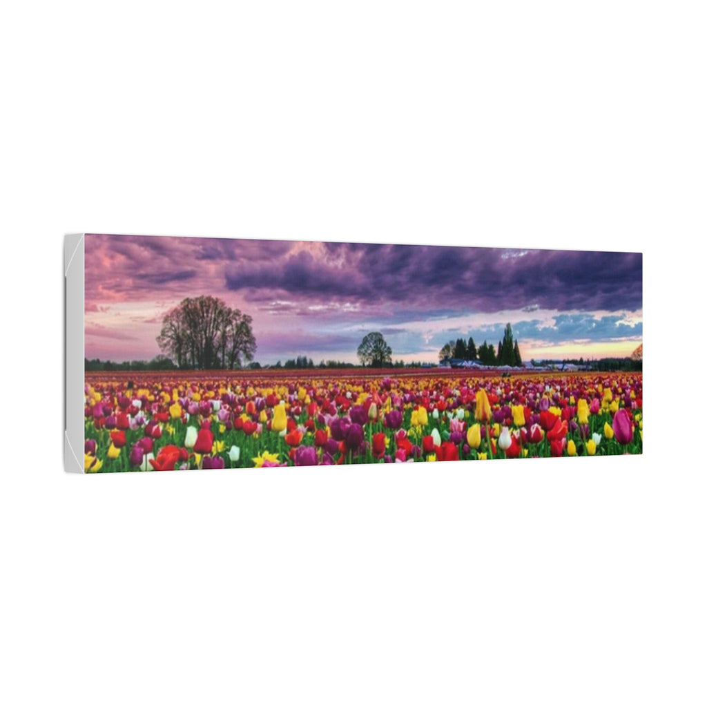 Tulip Field Sunset Canvas Print