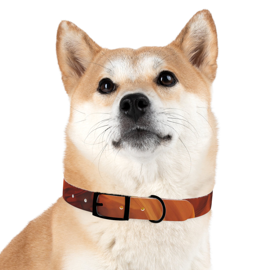 Amber Swirl Dog Collar — Warm Brown Abstract Pattern
