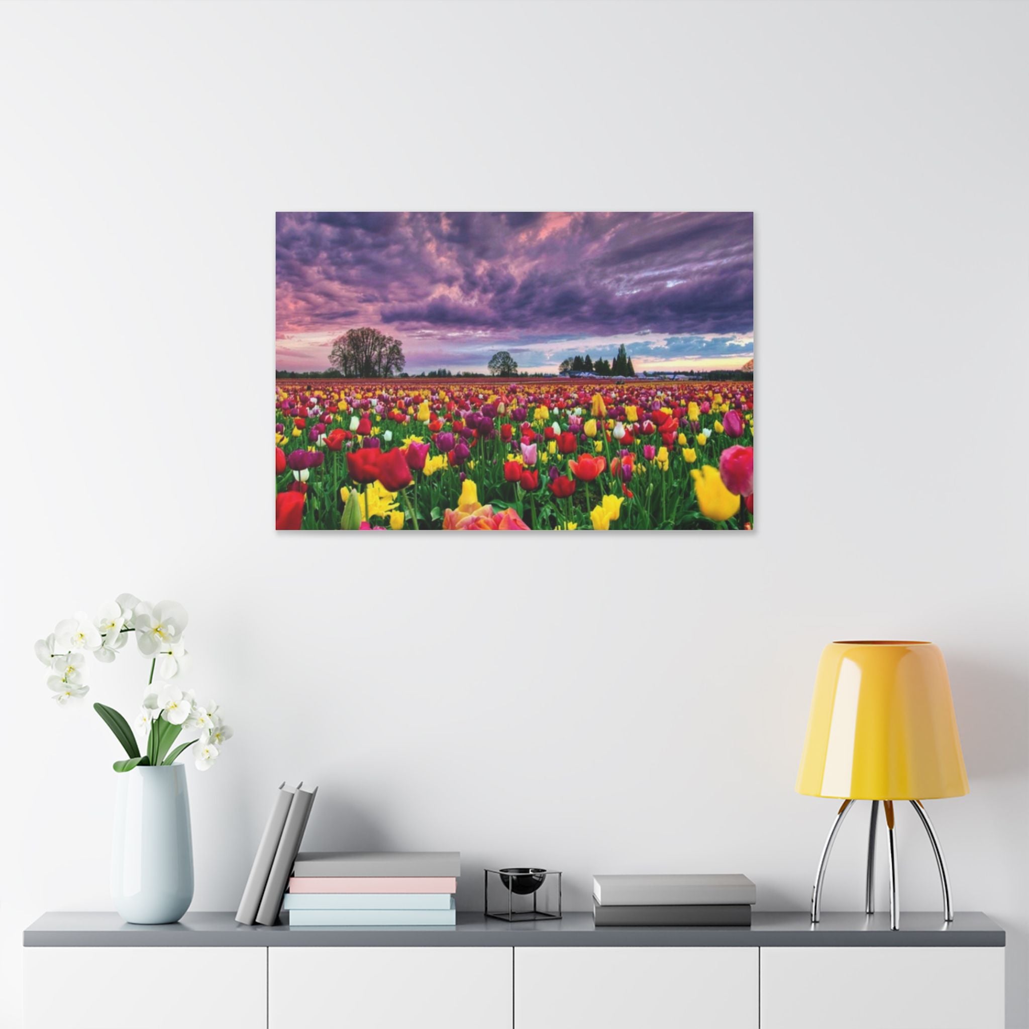 Tulip Field Sunset Canvas Print
