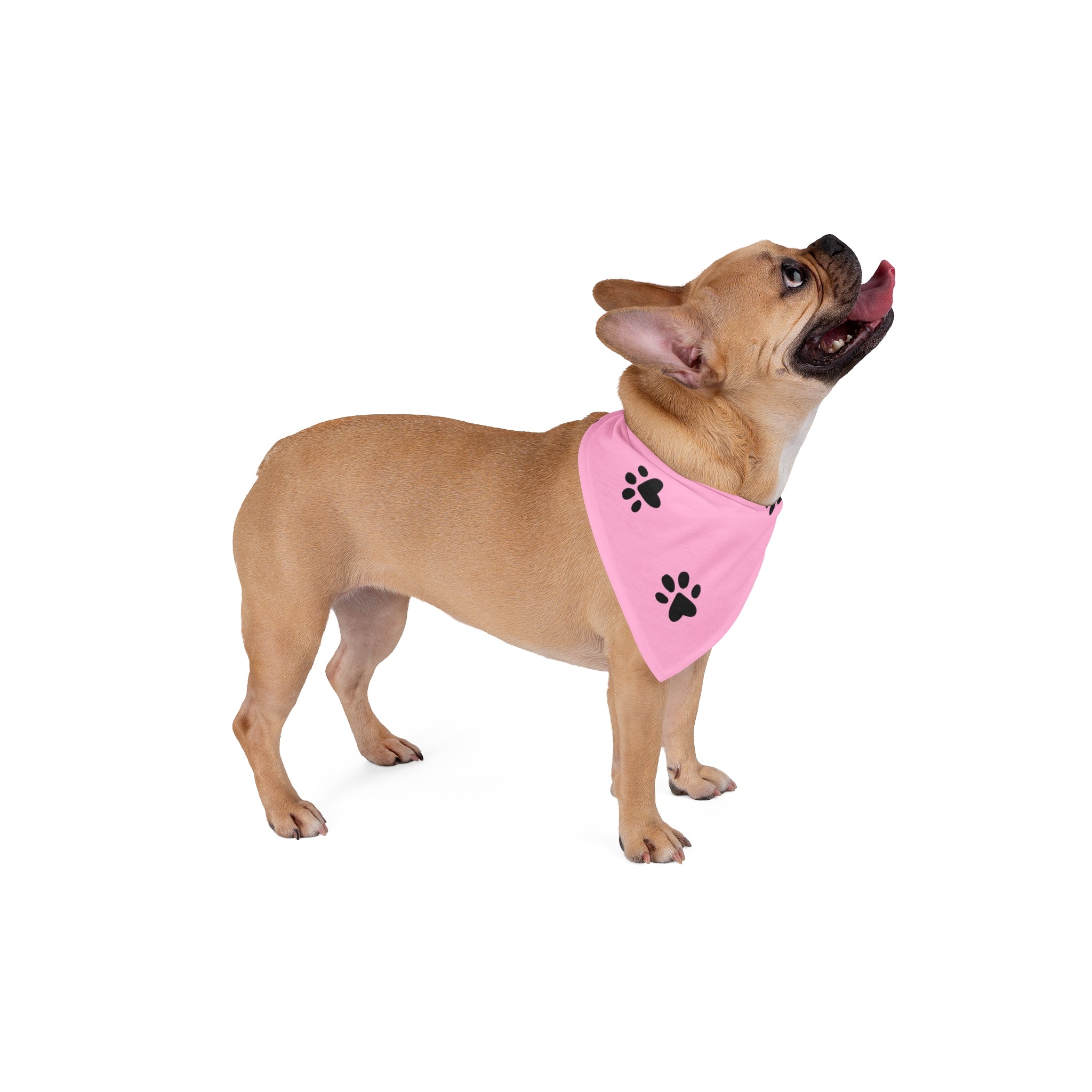 Pink Paw Print Pet Bandana - Cute Dog & Cat Scarf for Daily Wear, Photo Shoots & Gifts