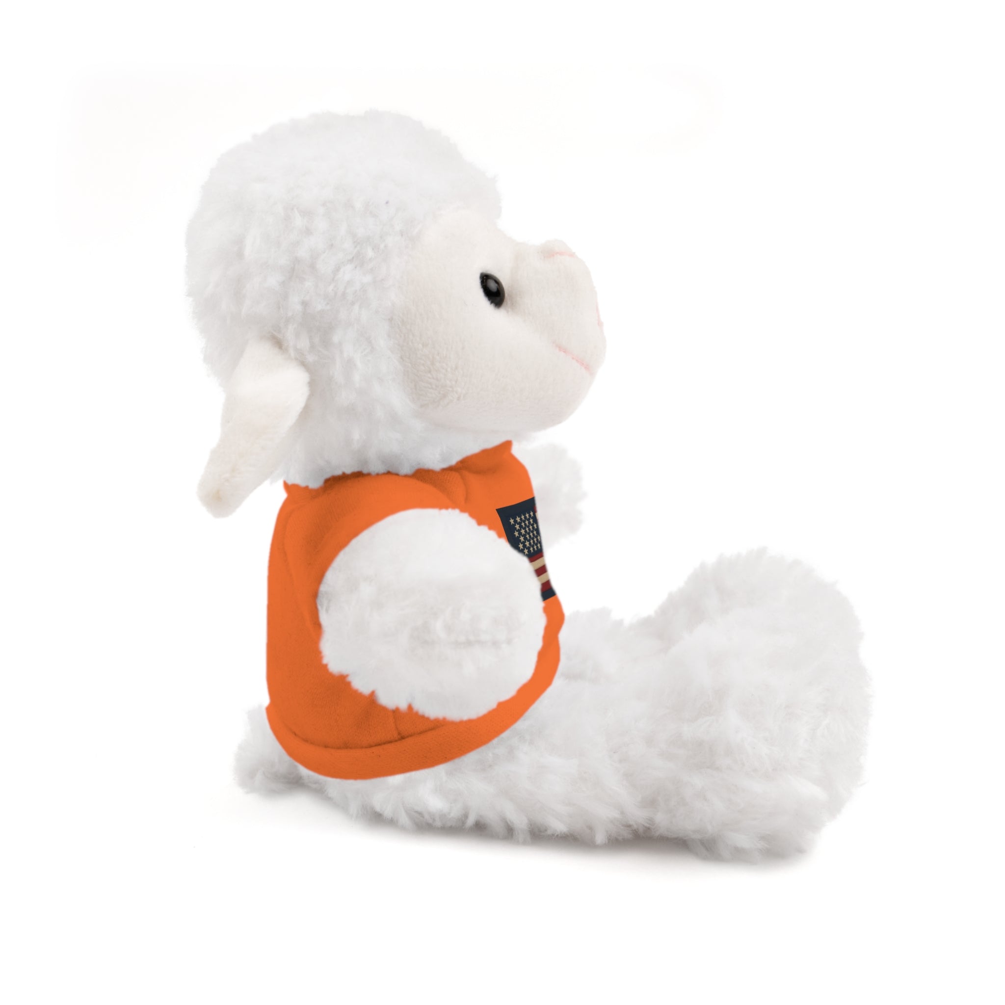 American Flag Teddy Bear with Tee — Patriotic Plush Gift